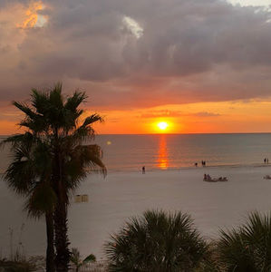 Meet your Posher, Miley